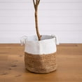 thumbnail image 6 of Nearly Natural Potted Artificial Olive Tree with Handmade Jute Planter - 7' - Green, 6 of 7