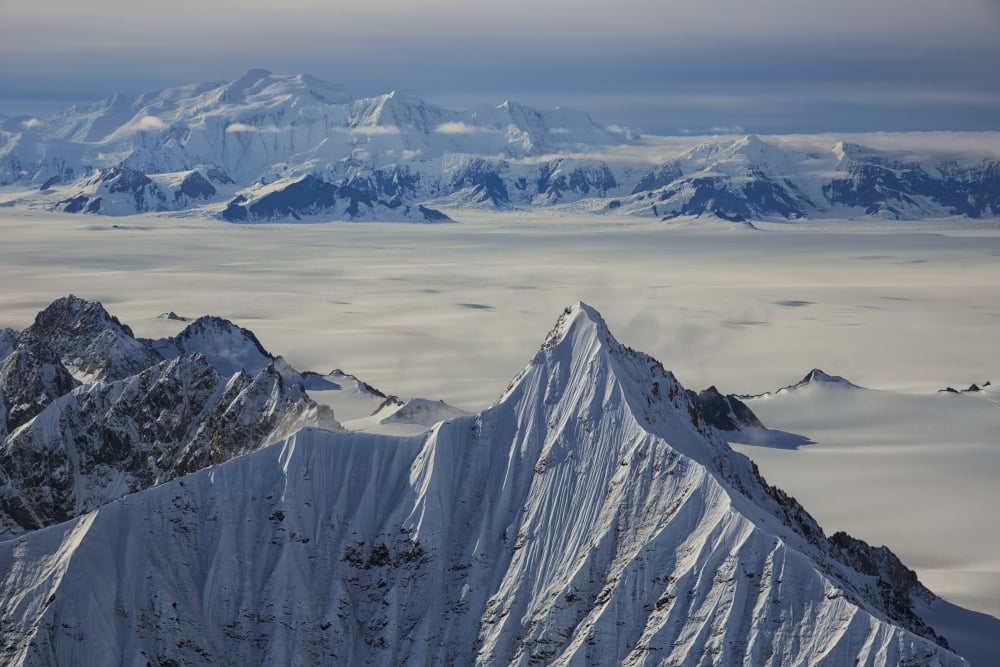 Aerial View Of The