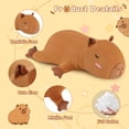 thumbnail image 4 of Capybara Plush Heating Pad for Period Cramps & Menstrual Pain Relief, Portable Electric USB Powered Heat Pads, Capybara Heated Stuffed Animal for Teen Girls Women, Cute Christmas Birthday Gift Ideas, 4 of 7