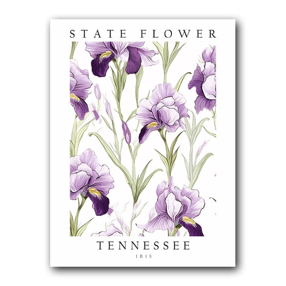 Iris, Tennessee State Flower, Poster Print, Wall Décor