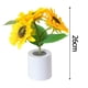 thumbnail image 4 of Girasol Luz de noche Lámpara de noche de noche Lámpara de mesa de girasol decorativa Luz de girasol artificial para decoraciones de regalos, 4 of 9