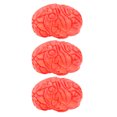 thumbnail image 1 of 3Pcs Human Organ Simulation Realistic Style For Teaching Demonstration, 1 of 8