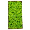 thumbnail image 1 of Musgo preservado,Musgo preservado Decoración de pared Musgo preservado real No requiere mantenimient Tomshoo Tipo 6, 1 of 7