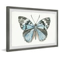 thumbnail image 2 of Parvez Taj Wild Butterfly Framed Painting Print, 2 of 6
