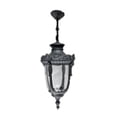 thumbnail image 1 of Lampara Colgante Farol Henry Iluminación Luz Vic Innovador, 1 of 2