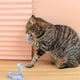 thumbnail image 4 of 10 piezas de palitos de juguete interactivos para gatos, juguetes de varita para gatos de interior, 4 of 6