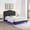 Black, variant on Harper & Bright Designs Queen Size Upholstered Platform Bed with LED light and Headboard, Velvet Platform Bed with Curve Design for Bedroom, Light Gray