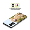 thumbnail image 2 of Head Case Designs Popular Dog Breeds Golden Retriever Puppy Soft Gel Case Compatible with Samsung Galaxy S21+ 5G, 2 of 7