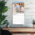 thumbnail image 5 of Australian Cattle Dogs | 2026 12x24" (Hanging) Square Wall Calendar | Plastic-Free, 5 of 9