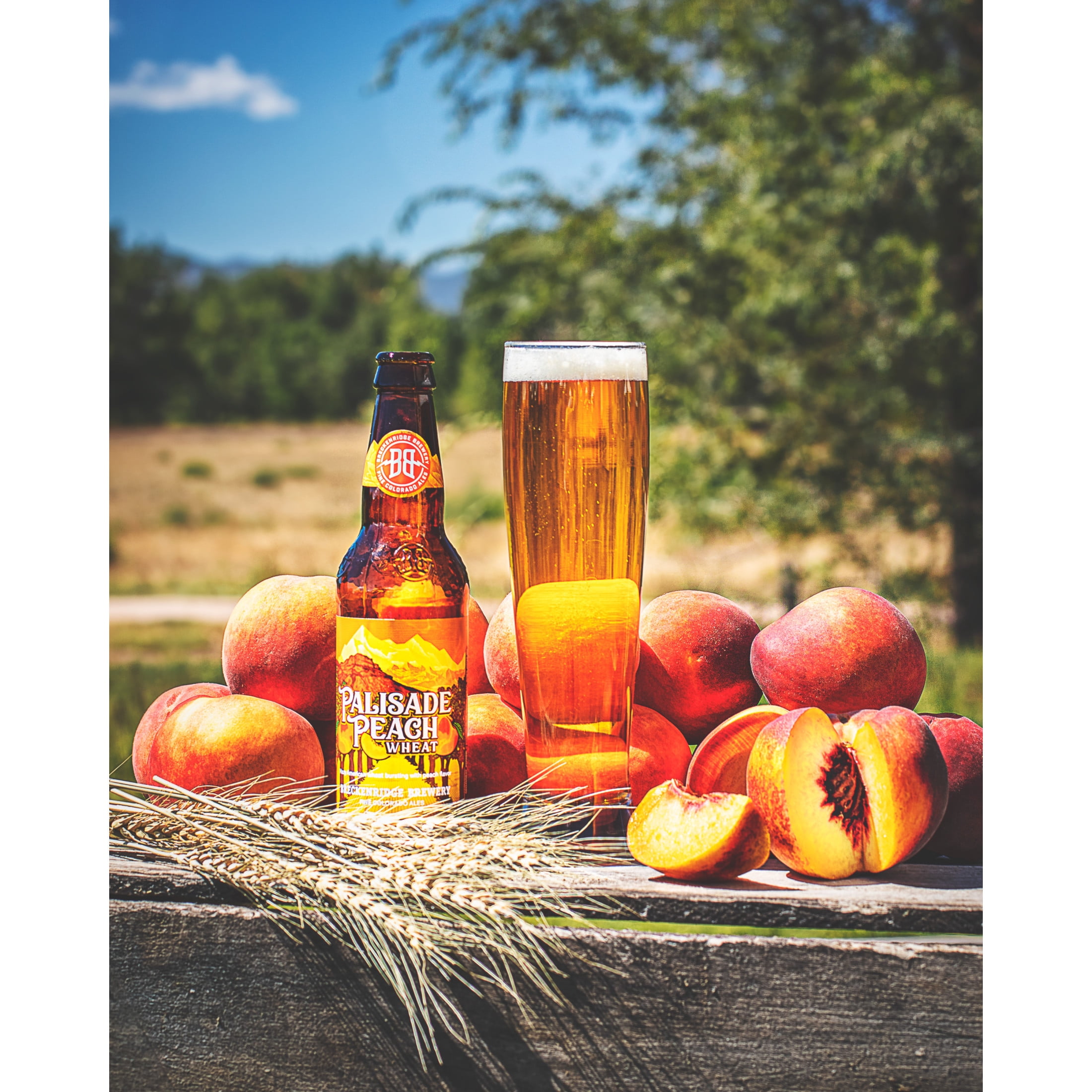 Breckenridge Brewery, Palisade Peach, Wheat, Craft Beer, 6 pack, 12 fl oz Glass bottle, 5.3% ABV