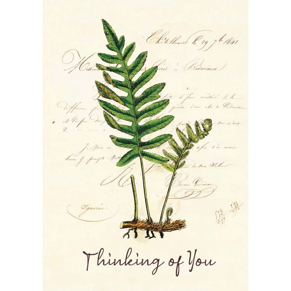 Shared Blessings Thinking of You Card with NIV Scripture, 1 Count, Creekside Fern Design, Religious Greetings for Comfort and Encouragement