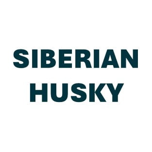 Siberian Husky Pill Butter