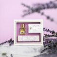 thumbnail image 5 of Clark's Botanicals Smoothing Marine Cream: Hidratante facial ligero para pieles normales a grasas con antioxidantes que estimula la producción de ácido hialurónico y limpia los poros 60 ml | 2 onzas (, 5 of 5