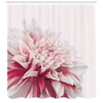thumbnail image 3 of Ambesonne Dahlia Shower Curtain, Close up Floral Blossom, 69"Wx70"L, White Ivory and Ruby, 3 of 3