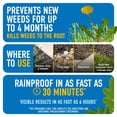 thumbnail image 3 of Roundup Dual Action Weed & Grass Killer Plus 4 Month Preventer, 32 fl. oz., 3 of 11