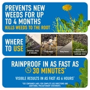 Roundup Dual Action Weed & Grass Killer Plus 4 Month Preventer, 32 fl. oz.