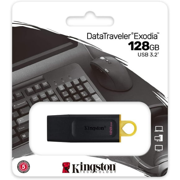 Kingston DataTraveler Exodia 128GB USB 3.2 Flash Drive (DTX/128GBCR)