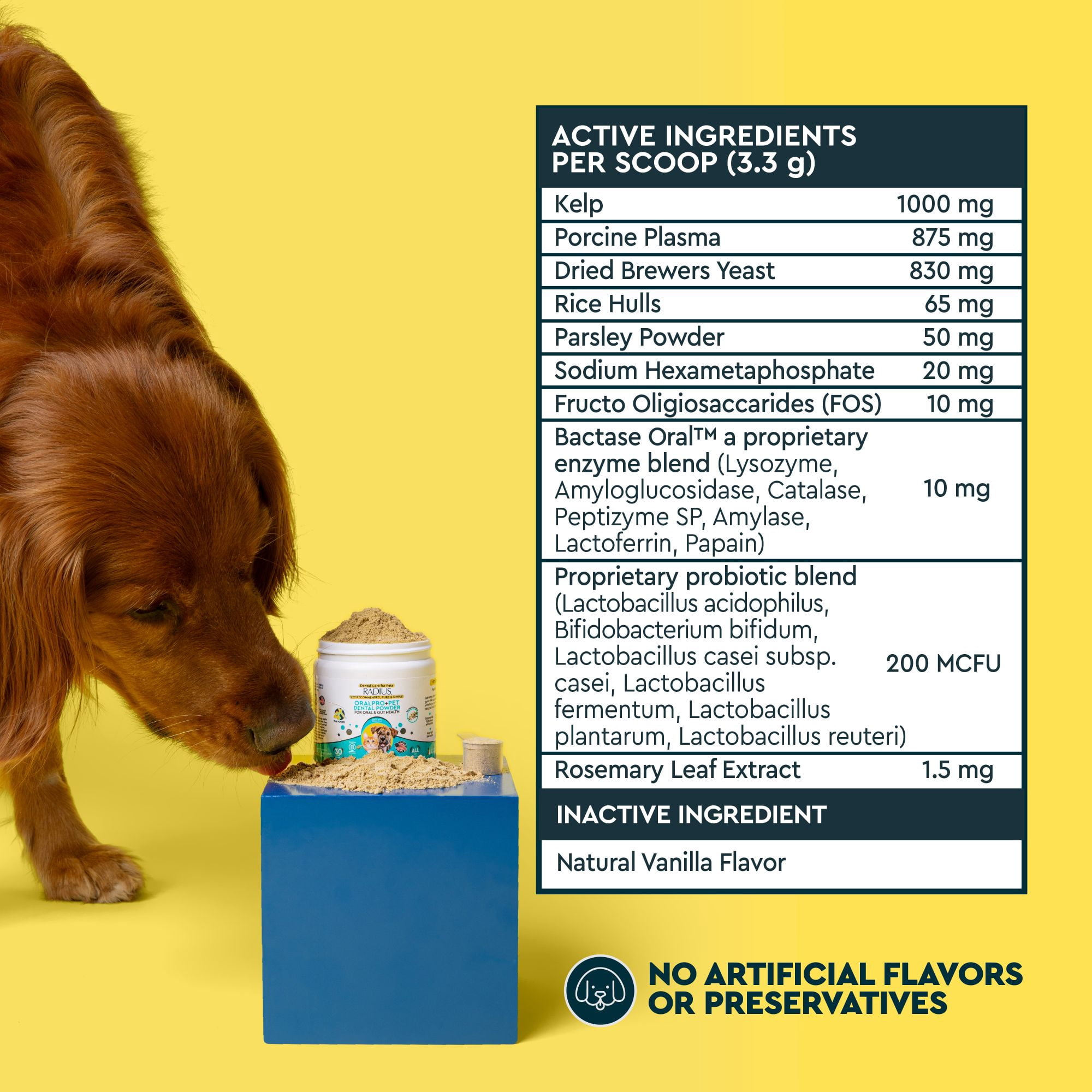 (2 pack) Radius OralPro+ Dental Powder for Dogs & Cats with Enzymes and Probiotics, Vanilla, 100g