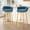 Blue, variant on MAYEERTY Outdoor PE Wicker Dining Chairs with Washable Cushion Set of 2 Natural Rattan Patio Garden