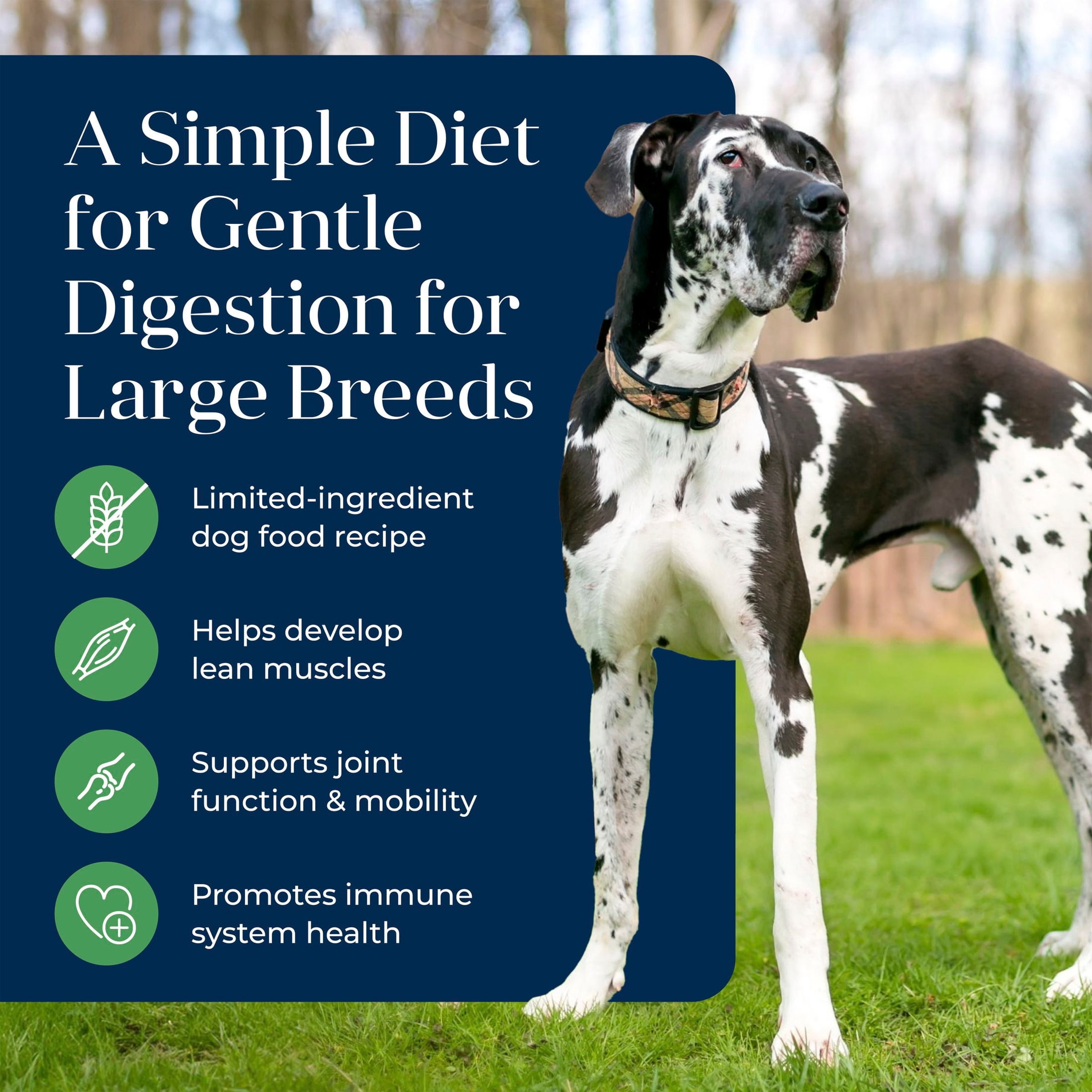 Blue Buffalo Basics Large Breed Dry Dog Food, Lamb & Potato Chicken Free, 22lb Bag