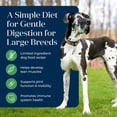 thumbnail image 5 of Blue Buffalo Basics Large Breed Dry Dog Food, Lamb & Potato Chicken Free, 22lb Bag, 5 of 13