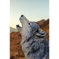 thumbnail image 2 of Hi-Line Gift Howling Grey Wolf 12” Garden Statue, Intricate Details, 2 of 4