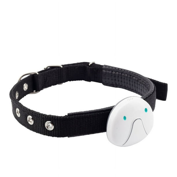 Localizador de mascotas con posicionamiento WiFi Localizador de perros y gatos Rastreador inteligente para mascotas Antipérdida