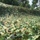 thumbnail image 4 of Woodland Camo Netting Camouflage Net Privacy Protection Camouflage Mesh For Camping Forest Landscape Camouflage Nets Hunting, 4 of 5