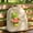 01, variant on Donk Lucky Frog Plush, Major Coach Zhab Zhabych Gaming Frog Figurine, Team Spirit Desk Frog Toy, Frog Prince Princess Plush Keychain, Couple Frog Bag Charm for Backpack Handbag Key Decor