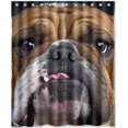 thumbnail image 1 of ABPHQTO Cortina de ducha Bulldog Cortina de ducha impermeable 150x180 cm, 1 of 2