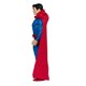 thumbnail image 4 of Figura de acción McFarlane Toys DC Direct Super Powers WV8, 4 of 8
