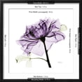 thumbnail image 5 of Art.com Purple Rose 2 Art Print by Albert Koetsier, Black Frame Wall Art, 21" x 21", 5 of 5