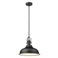 thumbnail image 2 of Acclaim Lighting IN21148BK Virginia 1 Light Pendant Ceiling Light, Matte Black, 2 of 2
