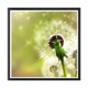 thumbnail image 3 of Juego de pintura de diamante 5D de diente de león blanco, kit de manualidades con imagen de diamantes de imitación completa, decoración de punto de cruz DIY Vogacara HA5475-00B, 3 of 6