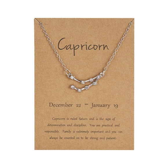 MasteelfCA 12 Constellation Pendant Rhinestone Necklace Horoscope Astrology Chain Jewelry with Paper Birthday Gift for Women (Silver, Capricorn)