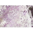 thumbnail image 3 of Natural Scotland Cowhide Rug | 5'x7' | A, 3 of 3