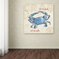 thumbnail image 3 of Trademark Fine Art 'Coastal Catch II' Canvas Art by Anne Tavoletti, 3 of 3