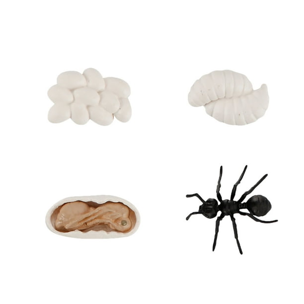 Toys on Clearance 4 Piece Insect Figure Animal Life Cycle Plastic Brood To  Mature Period 