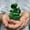D, variant on Sales Today Clearance! Snake Statue Small Wooden Chinese Feng Shui Snake Figurines 2025 Year Of The Snake Gift Snake Sculpture Home Office Tabletop Ornaments Deals of The Day Clearance!