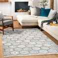 thumbnail image 3 of Grey Geometric Area Rugs for Living Room Washable Rugs Boho Moroccan Area Rug Soft Neutral Geometric Bohemian Carpet Distressed Indoor Rug for Bedroom Dining Room Office Foldable Nonslip Rug, 3 of 9