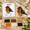 #D, variant on 2D Petite Beaded Animal Craft Kit,Easy DIY Beading Embroidery,DIY Bead Kit Beaded Animal CraftKit,Cute Bird & AnimalThemed Beadwork Kits for Beginners & CraftEnthusiasts with Instructions Each Box