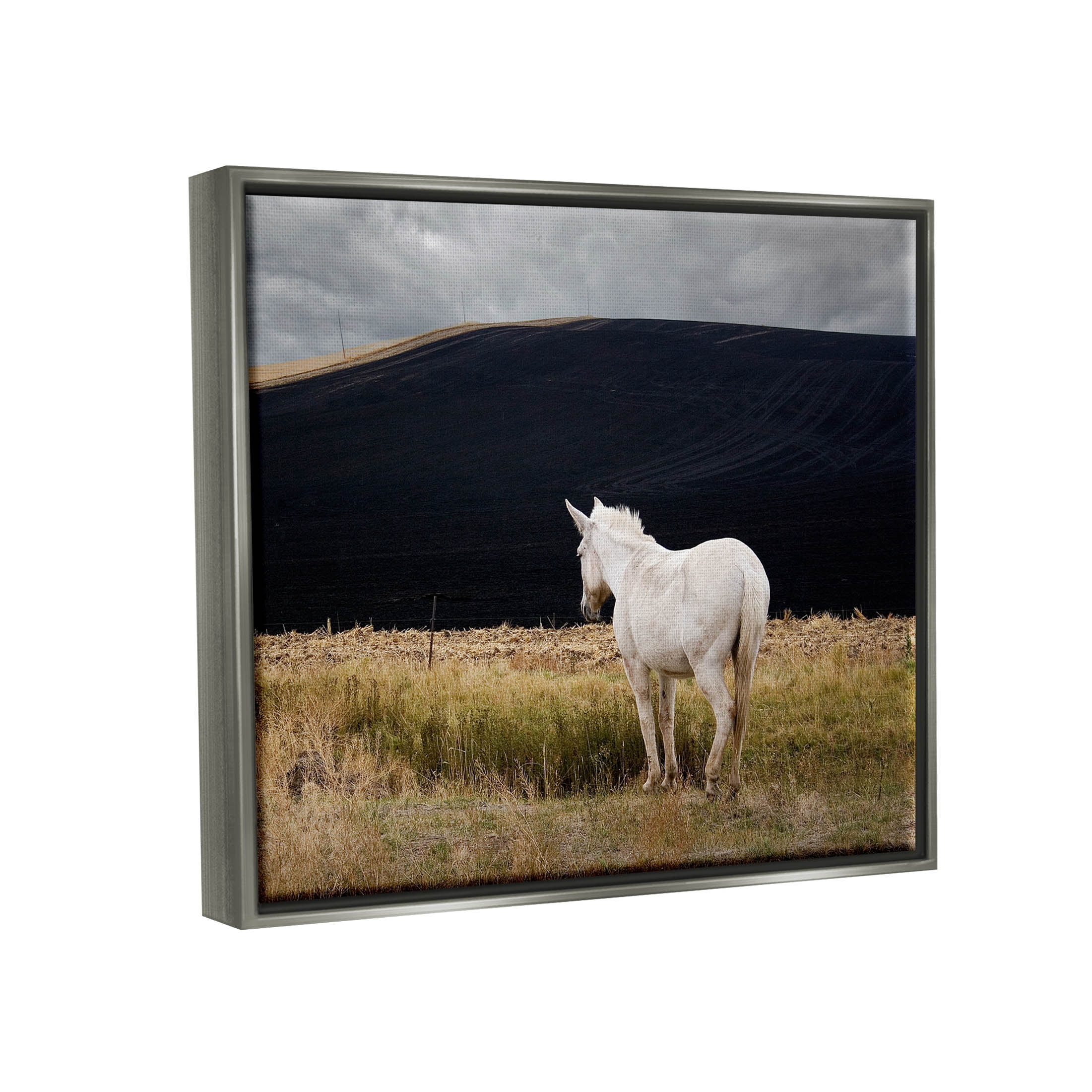Stupell Industries Lone White Horse Vast Country Pasture Photograph Luster Gray Floating Framed Canvas Print Wall Art, Design by David Lorenz