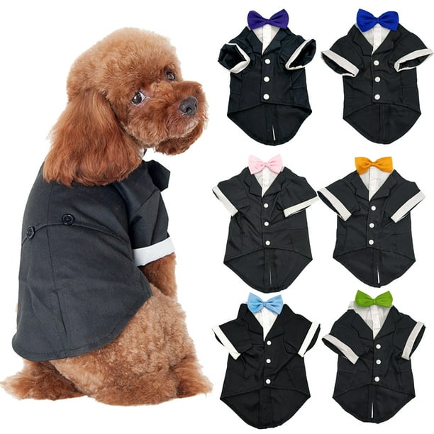 Dog clearance clothes design