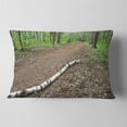 thumbnail image 2 of Designart Trunk of Birch on the Track - Contemporary Landscape Printed Throw Pillow - 12x20, 2 of 5