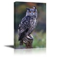 thumbnail image 1 of Canvas Prints Wall Art - A Eurasian Eagle Owl Standing on a Stump in The Rain | Modern Wall Decor/Home Decoration Stretched Gallery Canvas Wrap Giclee Print & Ready to Hang - 32" x 48", 1 of 3