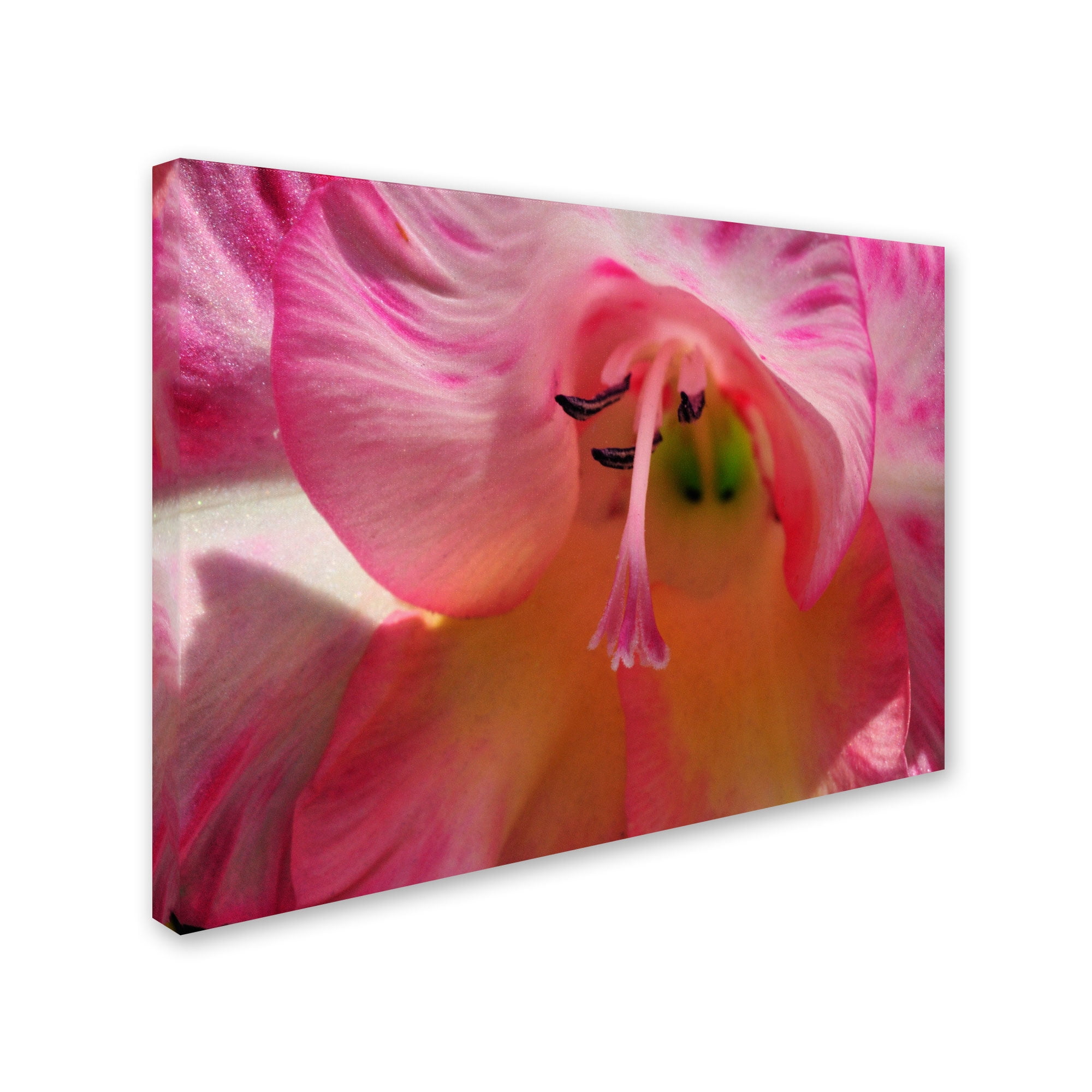 "Inside a Lily" Canvas Wall Art by Kurt Shaffer