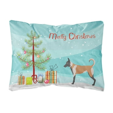Carolines Treasures BB8461PW1216 Belgian Malinois Christmas Canvas Fabric Decorative Pillow, 12H x16W, multicolor