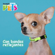 thumbnail image 2 of Collar Xch para perro C/Ultra Grip Y Bandas Reflejantes Verde Fancy Pets XCH, 2 of 2