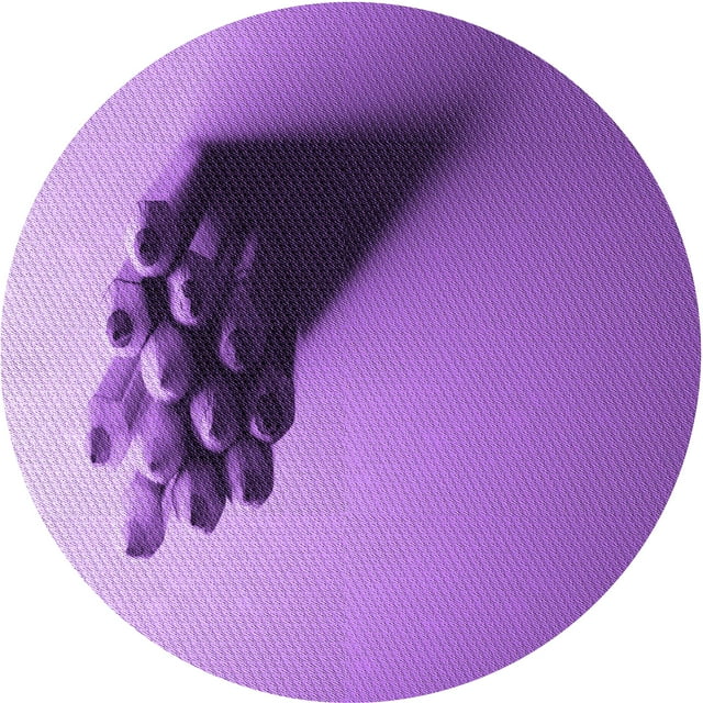 Ahgly Company Tapis d'Intérieur Rond Lavable en Machine Violet Violet Transitionnel, 5 Pieds Rond