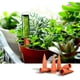 thumbnail image 1 of Bebedero automático de arcilla de terracota para plantas, dispositivo de riego automático con diseño de goteo lento para raíces saludables (6 piezas), 1 of 5